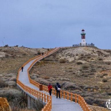 (灯塔计划是什么意思)灯塔计划六个项目：为未来拓展新疆潜力无限