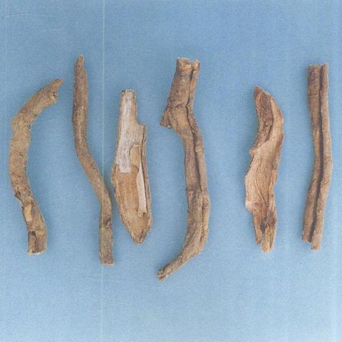 (本草归元录游戏)探寻本草归元录攻略：解密古代草药秘籍，掌握生活健康密码