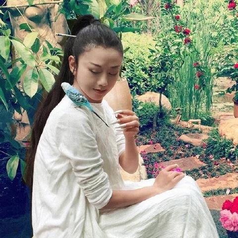 探讨热门手游不败精灵消失原因：玩家体验下滑或是更新策略不当？