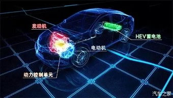 (双界的交织点怎么样)双界链接点什么时候开始出现在网络中? (双界的交织点怎么样)双界链接点什么时候开始出现在网络中?