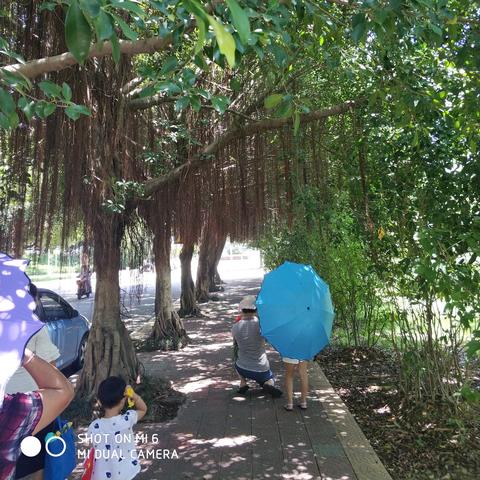 (蓝天卫士官方网站)蓝天卫士新手教程视频大全:全方位指导带你快速掌握使用技巧 (蓝天卫士官方网站)蓝天卫士新手教程视频大全:全方位指导带你快速掌握使用技巧