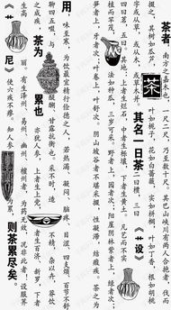 (本茶纲目是什么公司)探究古代茶艺文化：本茶纲目的创作背景与作者身份揭秘