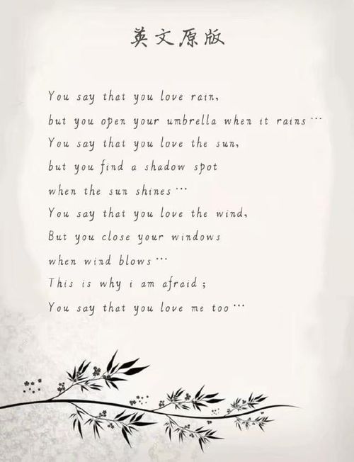 《黑白恋曲》第10集中文翻译解析及剧情深度解读：揭示情感背后的秘密与冲突