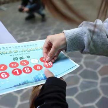 (猫之城图鉴)探索猫之城：角色的多样性与故事线的复杂交织