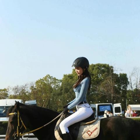 (马术骑士)新手入门：《马术世界》游戏中骑马与施法综合技巧完全攻略