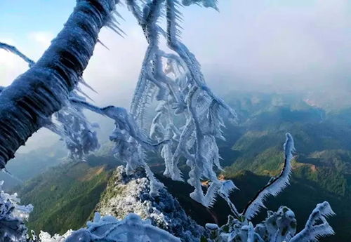 探秘无上仙庭：神秘的仙境之旅，揭开永恒守护者的传奇神秘面纱