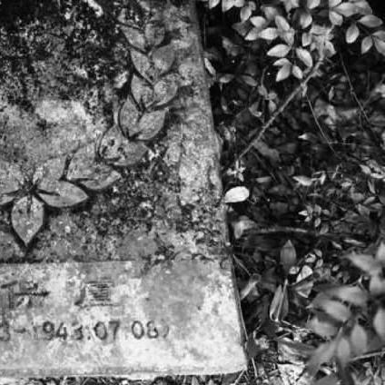 (天天飞集团是做什么的)天天飞虎队官方最新公告：最火爆消息！最新动态！不容错过！