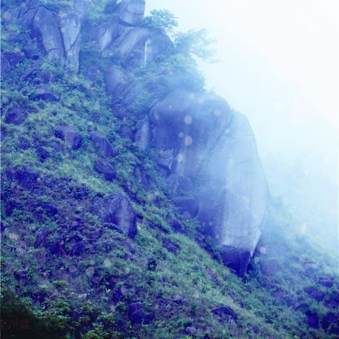 (天天飞集团是做什么的)天天飞虎队官方最新公告：最火爆消息！最新动态！不容错过！