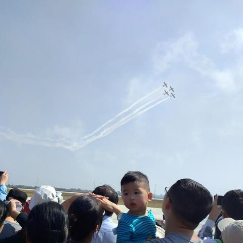 探索飞行器网页版的全新体验：实时飞行数据与虚拟操控的完美结合