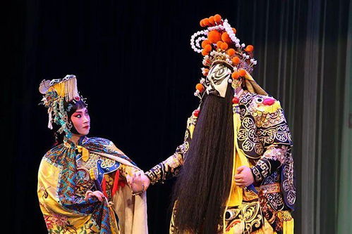 (刀尖舞者是真实故事吗)《刀尖舞者》电影演员表：究竟谁能掌握命运之刃？