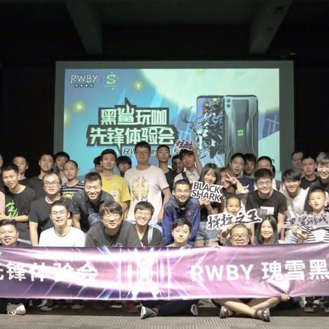 探讨瑰雪黑阳手游停服背后的原因：玩家流失严重还是运营不善导致的结果?