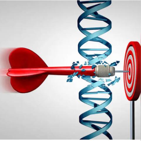 (我的起源交易网)探索我的起源交易平台：开启全新数字资产交易体验之旅