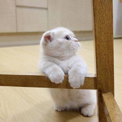 全面解析微信手机版通用版:功能亮点与使用技巧,让你玩转社交新体验 全面解析微信手机版通用版:功能亮点与使用技巧,让你玩转社交新体验