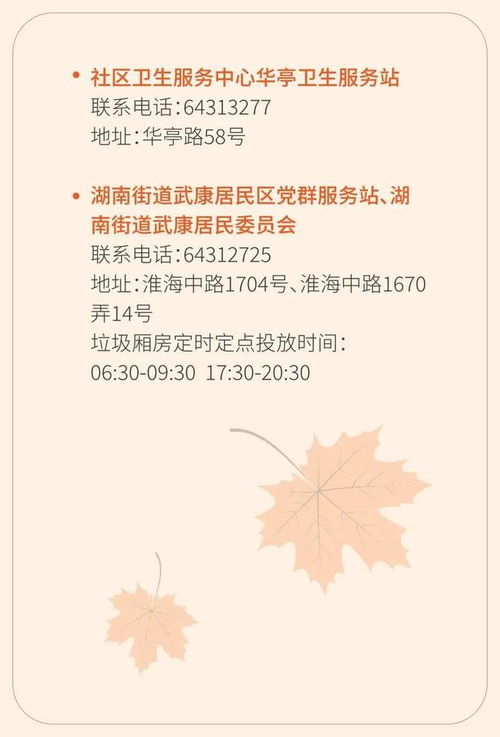 治愈日记 长桐:记录心灵自愈之路的日常魅力,探索生活中的小确幸 治愈日记 长桐:记录心灵自愈之路的日常魅力,探索生活中的小确幸