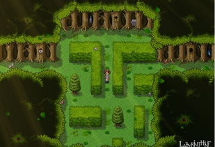 探寻未知之路,挑战极限!迷宫游戏大全闯关游戏,挑战你的智慧和勇气! 探寻未知之路,挑战极限!迷宫游戏大全闯关游戏,挑战你的智慧和勇气!