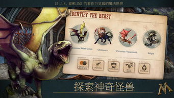探索神奇动物魔法联盟世界的奇妙之旅，揭秘隐藏在魔法与联盟中的神秘力量