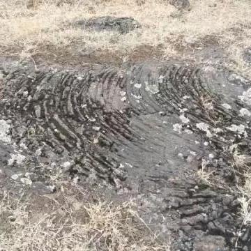 (蜘蛛侠破碎维度第二关怎么过)深入解析蜘蛛侠破碎维度第二关攻略与技巧,助你轻松过关 (蜘蛛侠破碎维度第二关怎么过)深入解析蜘蛛侠破碎维度第二关攻略与技巧,助你轻松过关