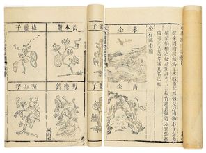 (本茶纲目什么时候出)谁制定了本茶纲目？寻找背后的故事及制定者介绍