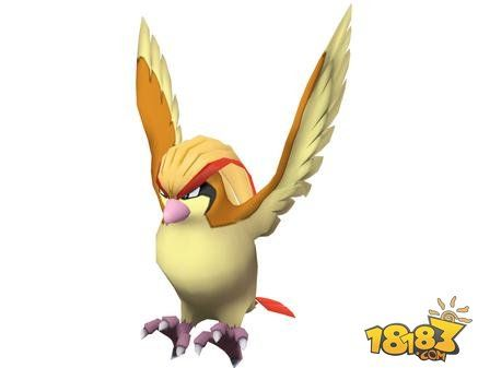 (小箭雀什么特性进化疾风之翼)小箭雀如何利用疾风之翼特性快速提升实力？