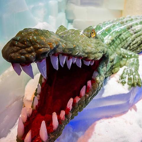 探秘恐龙小镇红包版:发现惊喜红包,畅游神秘恐龙世界,乐享无限惊喜! 探秘恐龙小镇红包版:发现惊喜红包,畅游神秘恐龙世界,乐享无限惊喜!