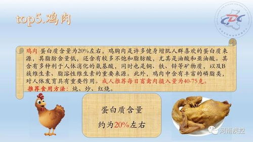 (关于健康饮食的日记200字)走进健康饮食的世界：优质生活方式的体现—美食日记100字