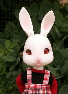 (萌萌兔子图片)萌萌兔限定：可爱兔子文具、玩具、服饰等精美周边尽在其中！