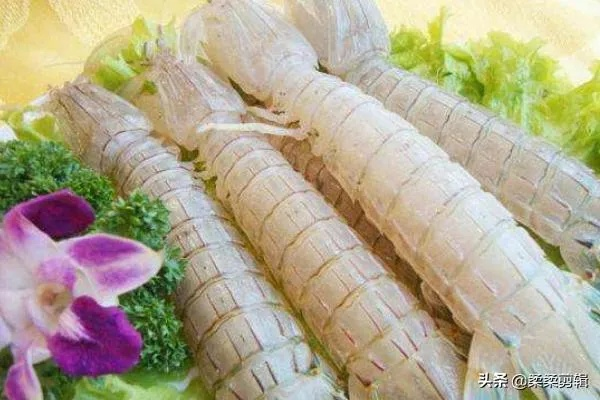 (皮皮虾如何储存)皮皮虾不马上吃怎么存放?存放时要注意哪些方法? (皮皮虾如何储存)皮皮虾不马上吃怎么存放?存放时要注意哪些方法?