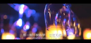 杯莫停上一句是什么，畅饮不停的诗意时刻，舞动在夜晚的欢乐节奏中
