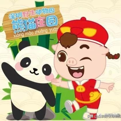 (第一季猪猪侠)猪猪侠第六季：勇闯未知世界，挑战新的敌人！