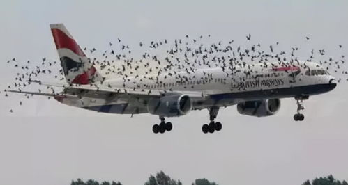 雄心壮志：指令夜莺航空队保护飞艇，揭秘他们如何应对高空安全难题