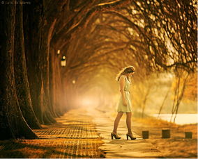 (逆光摄影教程)逆光者百科:破解逆光摄影技巧,探索光影之美与拍摄窍门 (逆光摄影教程)逆光者百科:破解逆光摄影技巧,探索光影之美与拍摄窍门