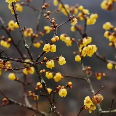 (沧浪手游安全吗)探索沧浪手游网页版的魅力:畅游虚拟世界,体验精彩游戏人生 (沧浪手游安全吗)探索沧浪手游网页版的魅力:畅游虚拟世界,体验精彩游戏人生