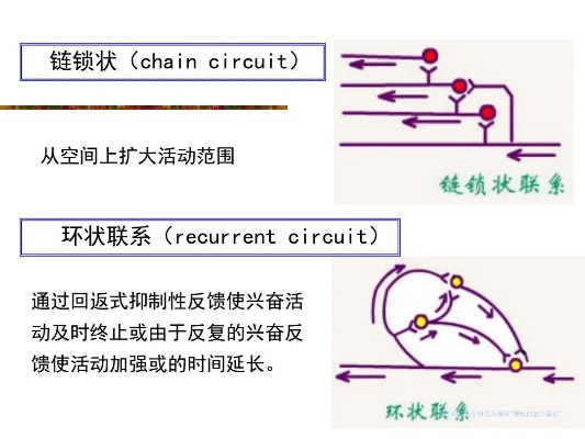(铁索连环传导顺序)深度探究铁索连环伤害传导规则：原理、应用与潜在影响