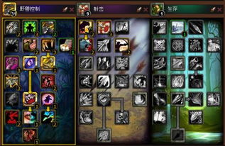 (魔兽世界猎人升级路线和攻略)初入魔兽世界1.12版本：猎人升级及宠物选择详细推荐攻略