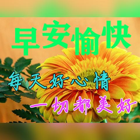 (电脑上短信群发的app软件)最好的短信群发软件电脑版推荐及使用攻略分享