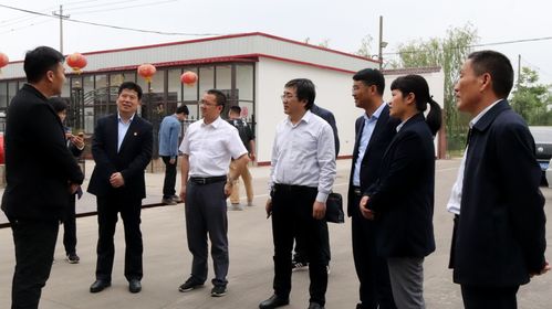 (鸡鸣山星宿攻略)登顶鸡鸣山，星纪任务全攻略，岁时指南全解析