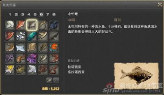专业钓鱼高手必备：疯狂骑士团钓鱼图鉴详细攻略及实用技巧大全