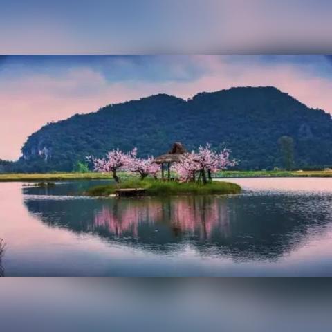 探究电视剧《三生三世十里桃花》主题曲音乐魅力与其剧情之间的独特关联