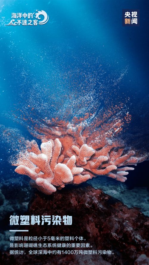 2021年最受欢迎的自走棋手游推荐：这些目前最高评价的游戏不可错过