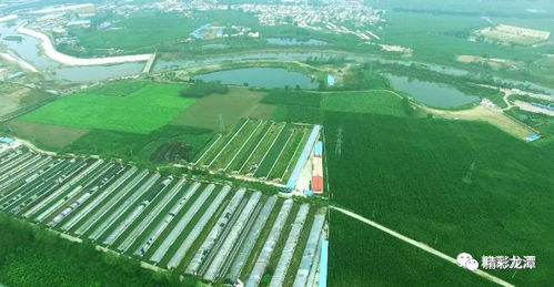 (云南蜂窝农业科技有限公司)全方位指南：探索云南的蜂窝网络旅游攻略与实用建议