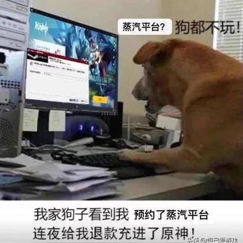 (闪烁之光bug)探寻闪烁之光内部奥秘：是否存在内部号码？