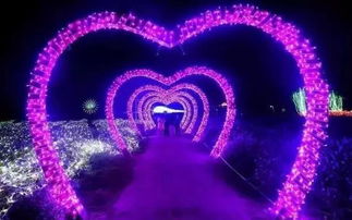 (梦幻军旅)探秘梦幻军事基地，满天星免费尽览