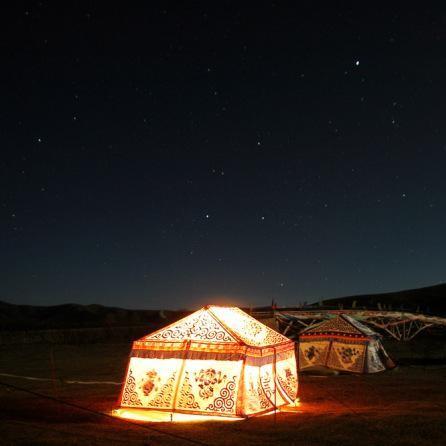 (跨国联盟概念)中国领导的跨国联盟：世界之中的 '以中国为首的联盟' 是什么？