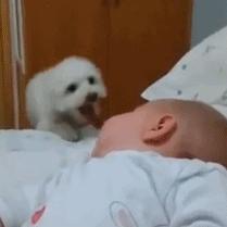 (光明勇士哪个职业好?探究最适合你的职业选择)光明勇士哪个职业好？探究最适合你的职业选择