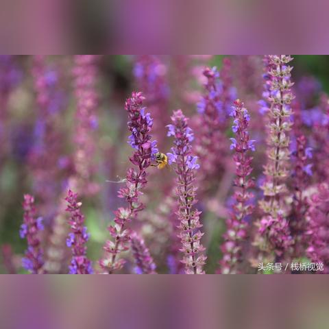 探索潮灵王国起源英雄排行榜最新动态，揭秘背后的故事和战斗力分析