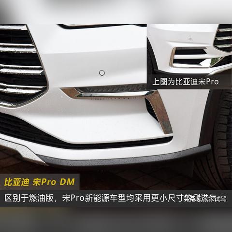 (龙之王者)探寻龙之王朝：神秘、辉煌与传奇的古代帝国传承及兴衰传奇