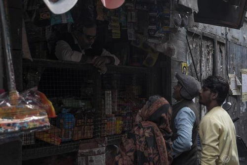 (重燃火花)重燃人生：火化后续的心灵重生与新征程探索