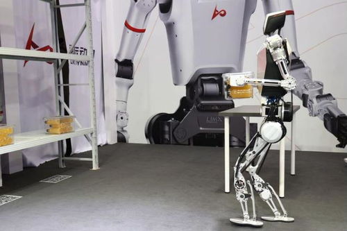 (人形机器人研制难度极大,却吸引着)在科技不断发展的今日，人形机器人的觉醒是否已经消失？