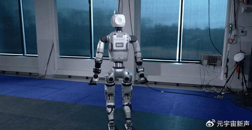 (人形机器人研制难度极大,却吸引着)在科技不断发展的今日，人形机器人的觉醒是否已经消失？