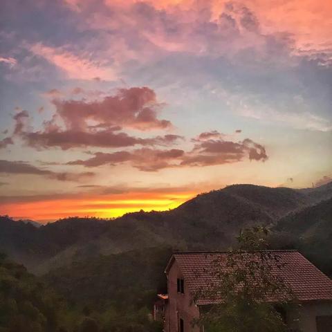 (游戏林间小屋)探寻林间小世界手机版下载官网，发现极致自然之美